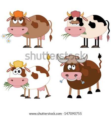Three cows and bull.