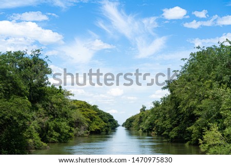 A long straight river and parallel to the trees along the coast with blue sky and clouds.