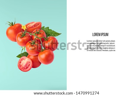 Fresh ripe red tomatoes and green leaves flying in the air isolated on turquoise background. Concept of food levitation, high resolution image