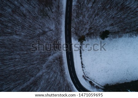 a small road crosses a snowy forest and field seen from above