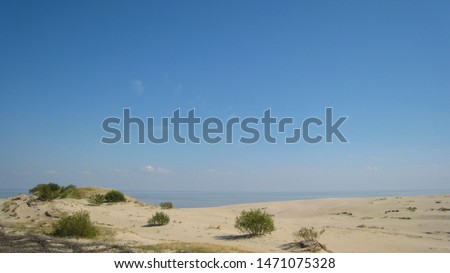 Dunes and blue sky, panorama. Curonian Spit National Park.