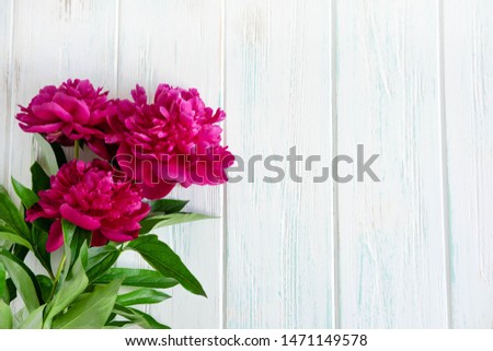 ckground with peonies. Pink and burgundy peonies on a white wooden background with space for copywriting. Frame for text with flowers. Greeting card with peonies. Flat lay, top view.