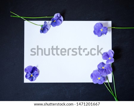 Pansy Flower with Blank Paper Page for Greeting Message. Purple Flowers on Dark Background. Top view, Flat lay, Copy Space
