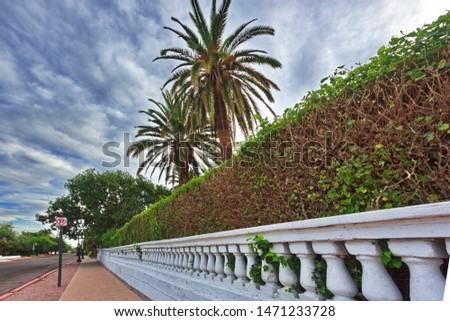 Established decorative white wall and mature hedge in downtown Tucson, a Southwest city with a lovely mix of historical and contemporary architecture.  