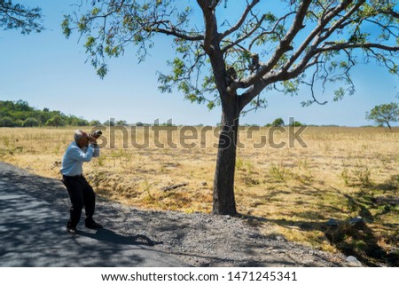 Picture of senior photographer taking a photo of two monkeys on a tree in Baluran national park at East Java, Indonesia