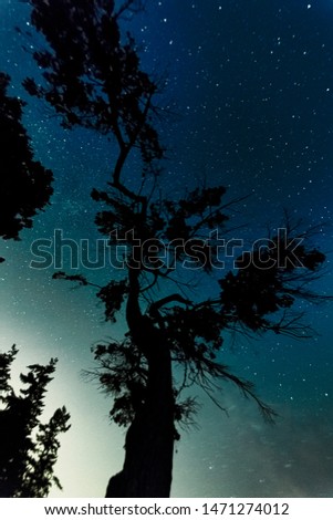 The magical star scapes of the Milky Way over the gorgeous island of Bowen close to the city centre of Vancouver British Columbia Canada.  Night Sky Photography.