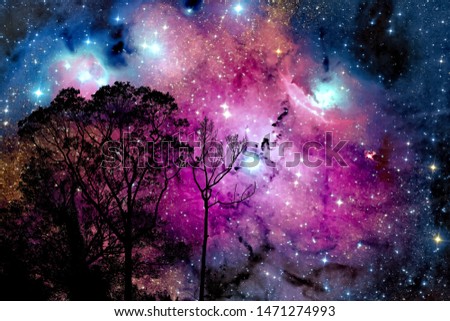 blur nebula galaxy back on night cloud sunset sky silhouette branch and tree, Elements of this image furnished by NASA