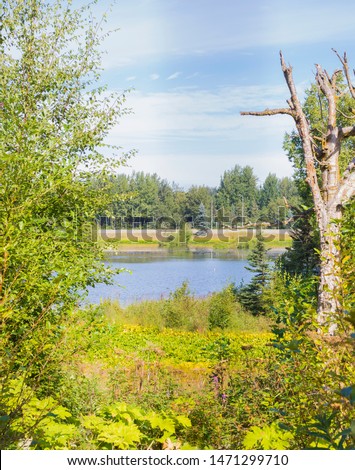 This is a photograph of a lagoon and surrounding flora on a sunny summer day in Anchorage, Alaska.