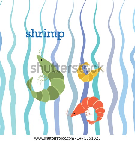 Shrimp fresh seafood. Vector background. Food and restaurant design.