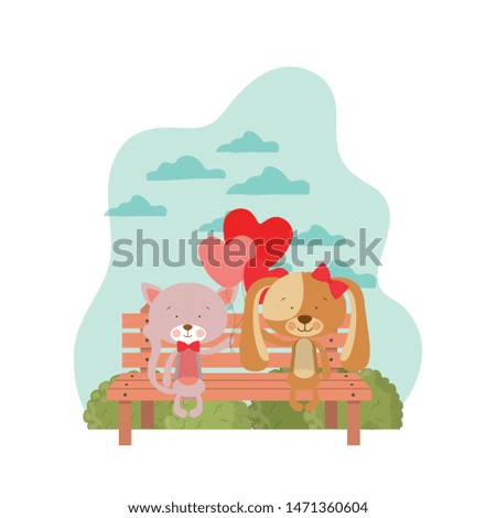cute animals sitting in the park chair