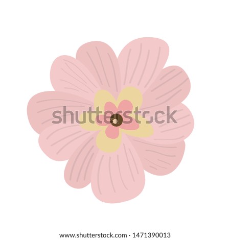 Isolated flower over a white background - Vector