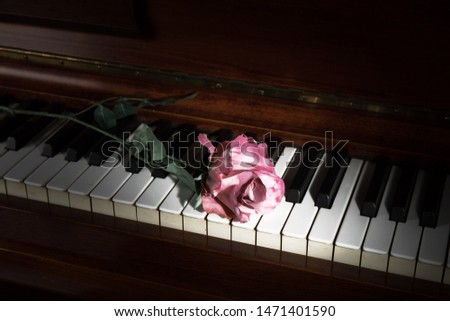 a red and pink silk rose on a piano keyboard with dramatic lighting