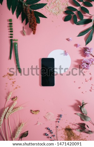 Phone with a clear screen and white circle shape in flowers on pink background. Flat lay. Top view.