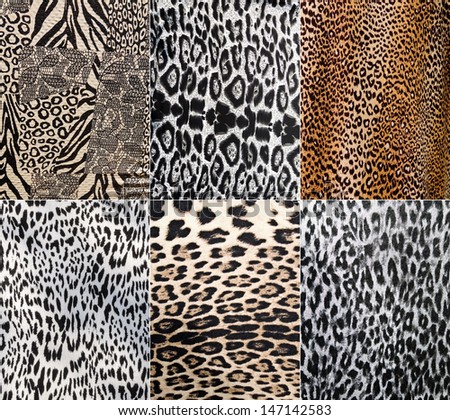 Wild Animal pattern collage