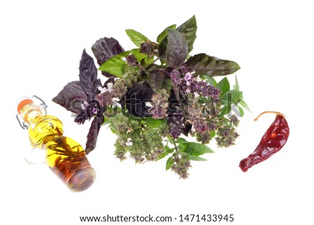 Bouquet of purple and green urban basil on isolated white background
