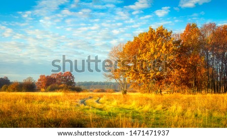 Autumn nature. October landscape on sunny bright day. Colorful trees on beautiful meadow in the morning Royalty-Free Stock Photo #1471471937