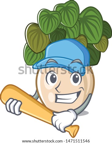 Playing baseball peperomia grows in a mascot pot