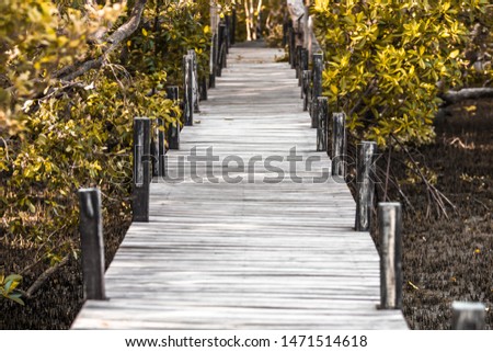 Close-up view of the natural background of the wooden bridge, which is surrounded by mangrove forests, colorful leaves of the leaves, blown through the blurred coolness during ecological travel.