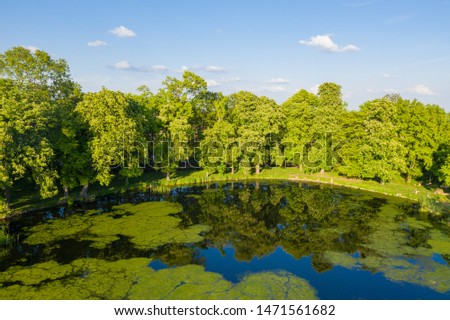 spring sunset over small lake with lot of green 