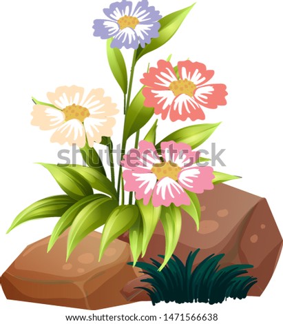 Colorful flowers and rocks on white background illustration