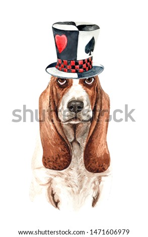Basset Hound dog. Portrait of a dog. Watercolor hand drawn illustration.Watercolor Basset Hound with Magic top hat layer path, clipping path isolated on white background.
