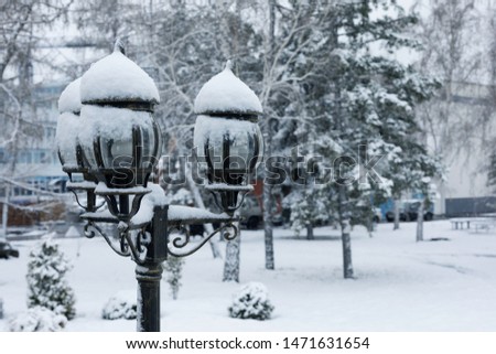 winter in a city park, in the afternoon snow lies on a lantern road and trees