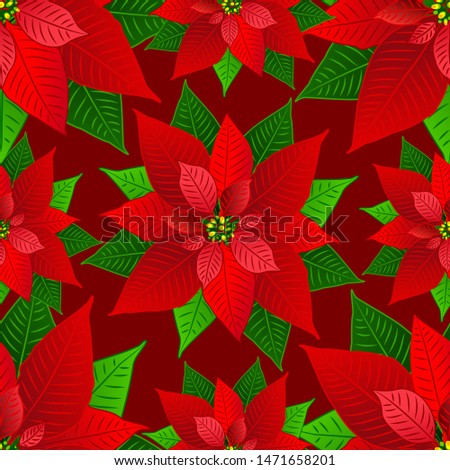 Vector seamless background of poinsettia flowers realistic for Christmas or New Year greeting card design.