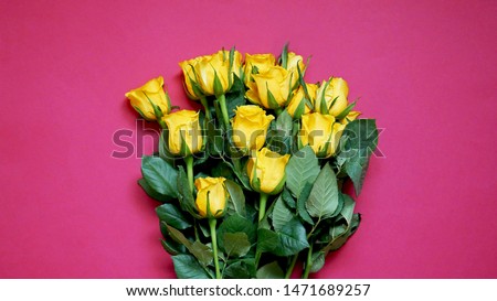 Yellow roses on a pink background in the form of a bouquet, top view.