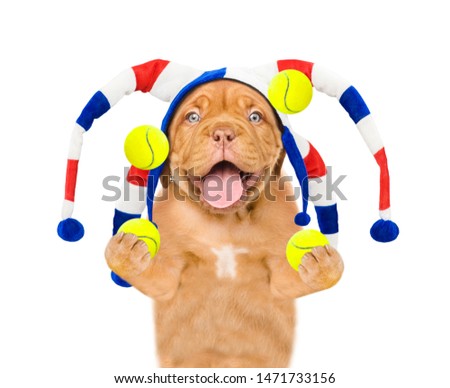 Funny puppy in jester cap juggles with tennis balls. isolated on white background