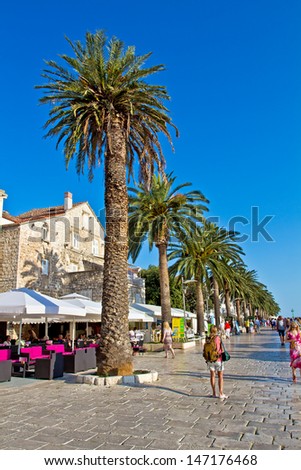 Europe City Port With A Row Of Palms. Hvar. Croatia. High quality stock photo.