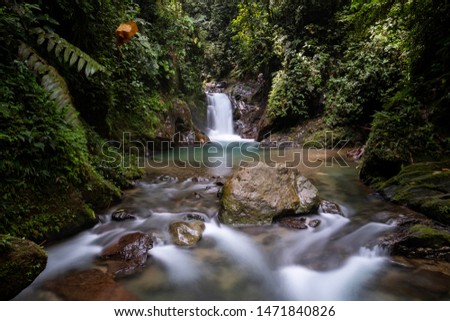 Glass Frog waterfall in the Mashpi Ecological Reserve, in the Ecuadorian highlands near Quito. Royalty-Free Stock Photo #1471840826