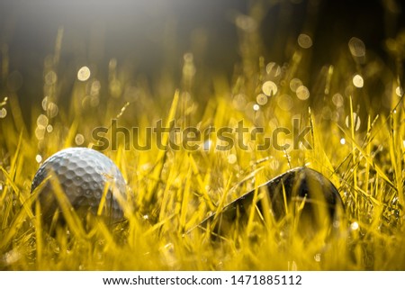 Golf clubs and golf balls are wet with warm light rain at sunset
