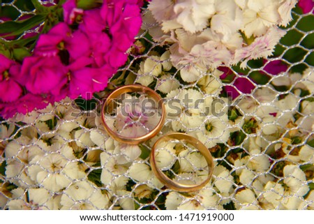 wedding rings lie on a grid. Wedding rings lie on the flowers of carnations. preparation for the wedding ceremony.