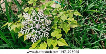 Cool symbol white on green leaves Royalty-Free Stock Photo #1471923095