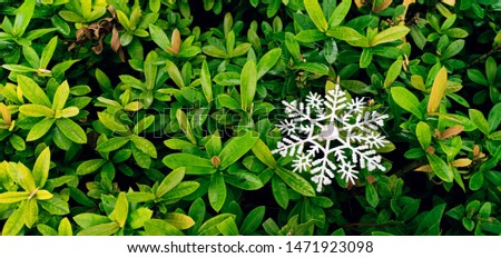 Cool symbol white on green leaves Royalty-Free Stock Photo #1471923098