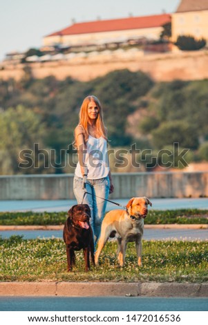 Beautiful girl walking two dogs