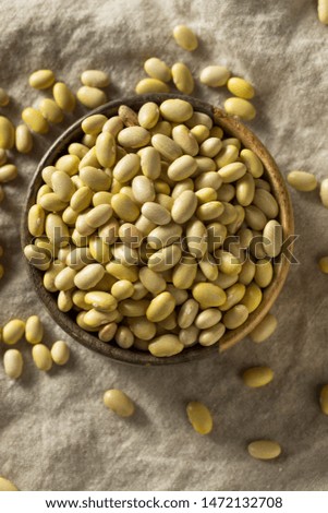 Dry Organic Yellow Mayocoba Beans in a Bowl