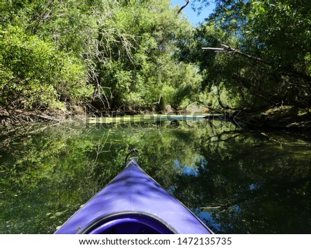 Kayaking among the duckweed on the quiet waters of a California creek in mid-summer 
