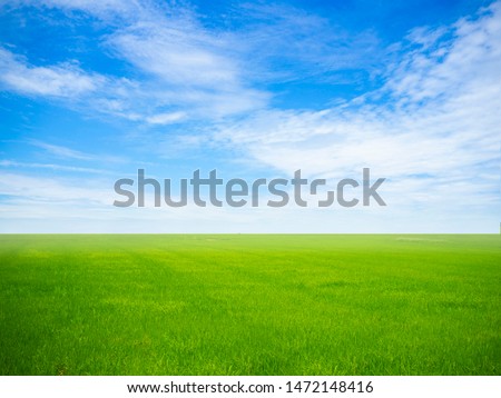 empty green grass field with blue sky and white clouds in the gardening and landscape shot photo use for design display product background concept.