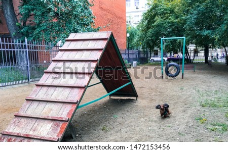 Dog walking area in the city. Special equipped area for training and walking dogs, with special equipment. A small long-haired Dachshund running on the site