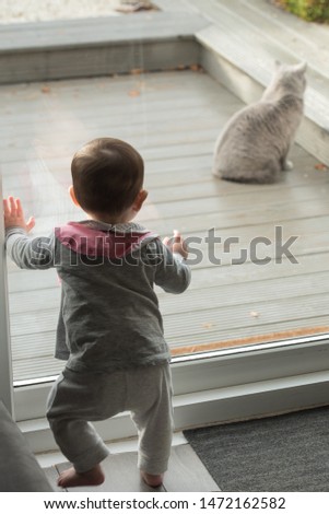 Baby in pyjamas jumping in excitement in front of patio door while looking at cat in the garden of a house in Edinburgh, Scotland, United Kingdom.