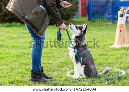 picture of a woman who trains with a young husky on a dog training field