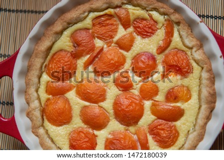 Close up Picture on apricot cheesecake or Sour Cream Custard Pie in baking pan. Fresh homemade sweet pie from summer seasonal fruits, traditional in czech republic from garden harvest. Sweet breakfast