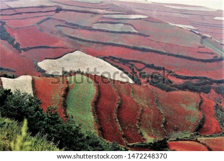 Red Land of Dongchuan in china,Blured picture of Scenery rural south Yunnan, China, vegetable garden and straw puppet on the Red Land of Dongchuan.