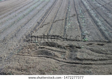 
Texture of irregularly cultivated field.