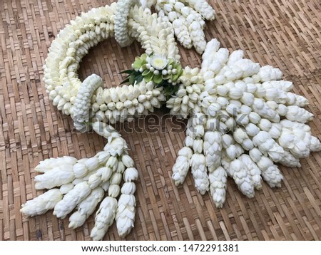 Thailand Jasmine garland a symbol for mother day.  homage to a Buddha  Jasmine for Important day pay offering Buddha in Buddhism. picture for art design or add text.