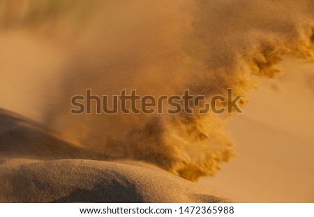 Sand storm in desert. Heat in the dunes