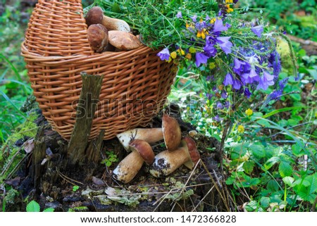 The basket of mushrooms and wild flowers in the forest