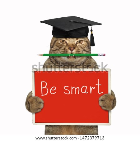 The cat teacher in a square academic hat with a pencil in his mouth is holding the small school red board with " Be smart " on it. White background. Isolated.