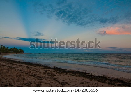Sunset of a tropical palm trees beach in Bahia, Brazil